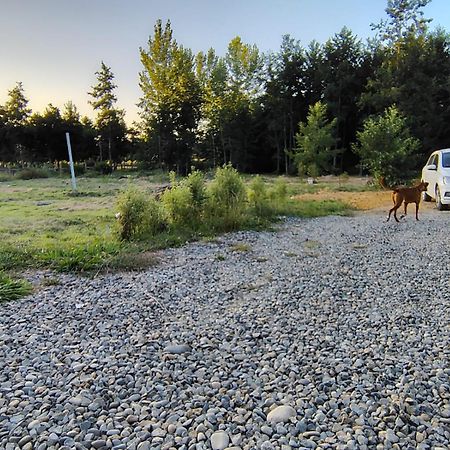 Cabana Valdivia Piedra Blanca 1 Экстерьер фото